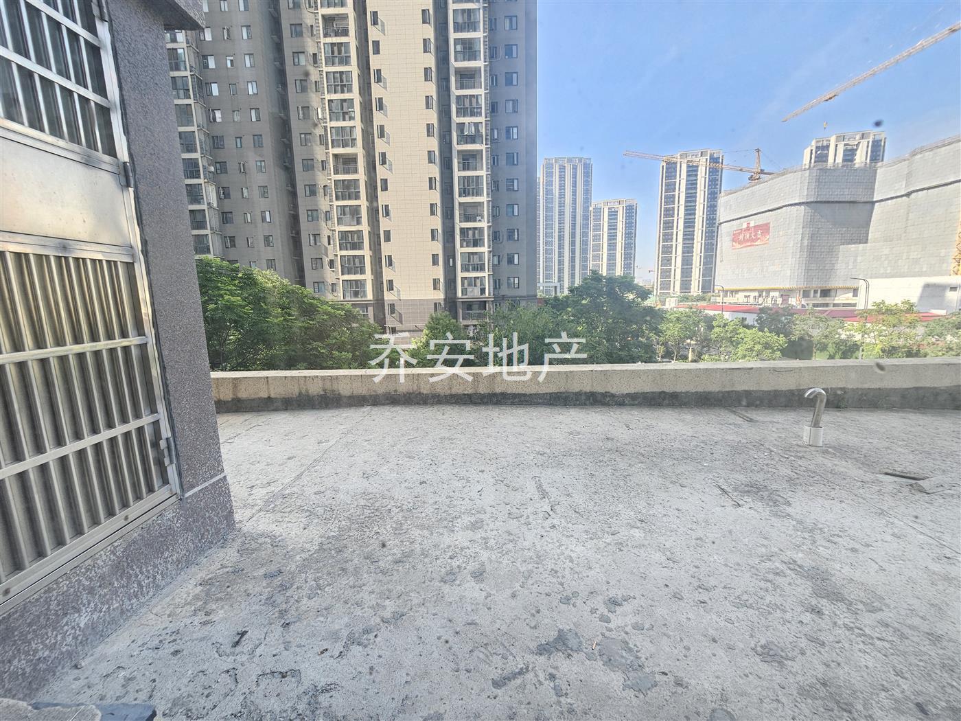 实拍图