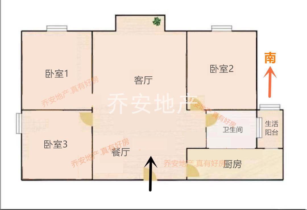 实拍图
