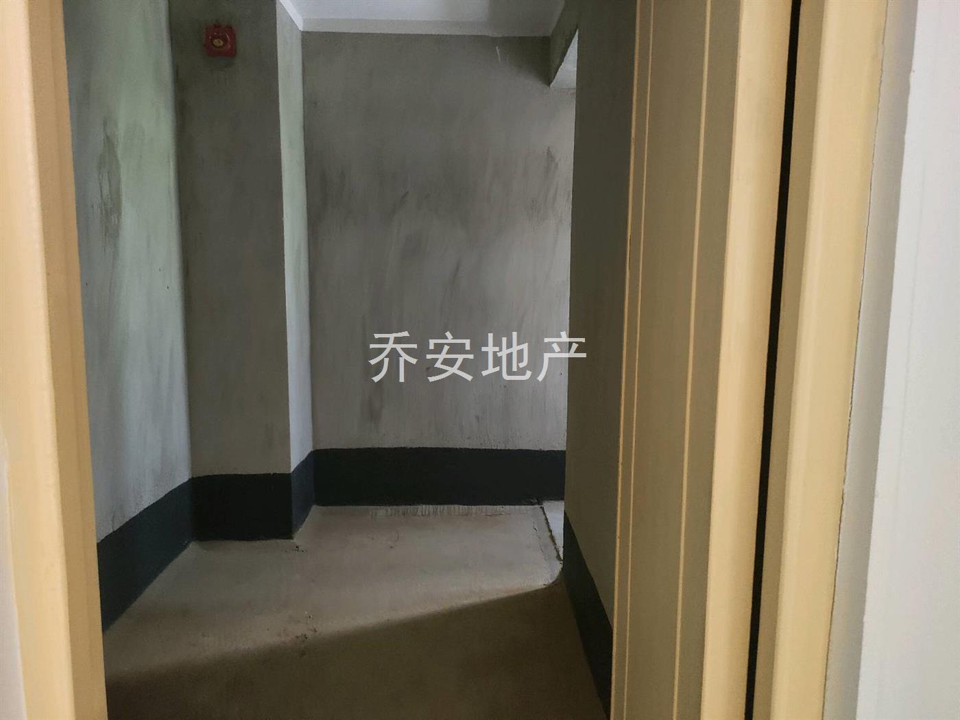 实拍图